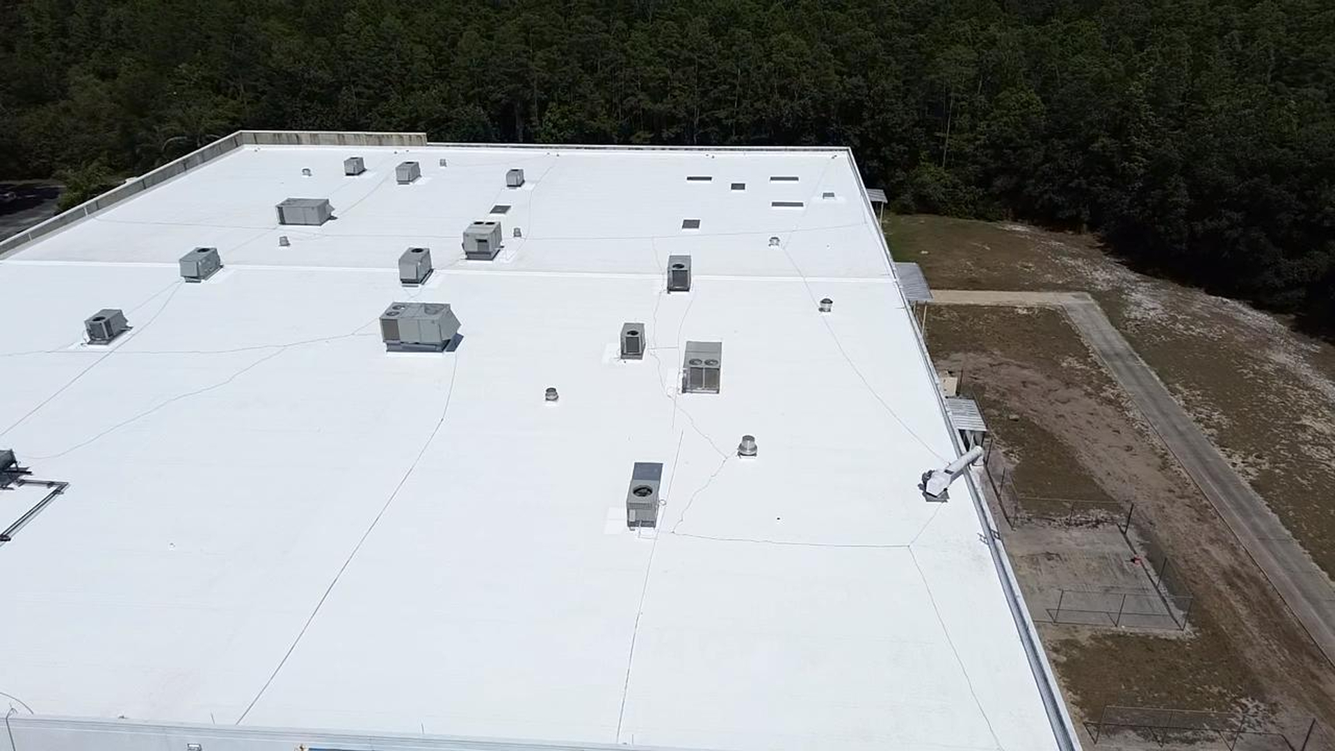 Tampa Pro Roofing Image