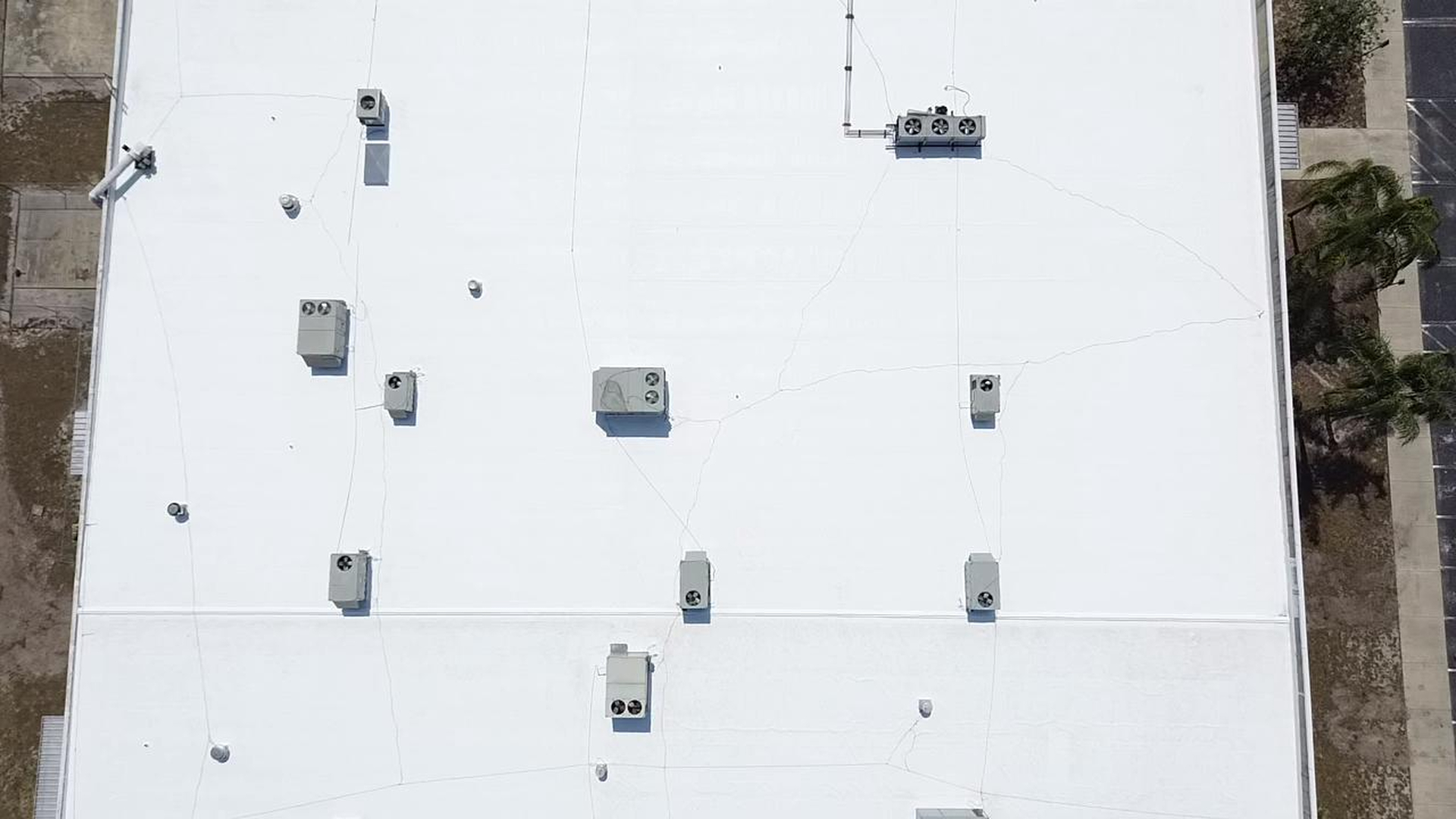 Tampa Pro Roofing Image