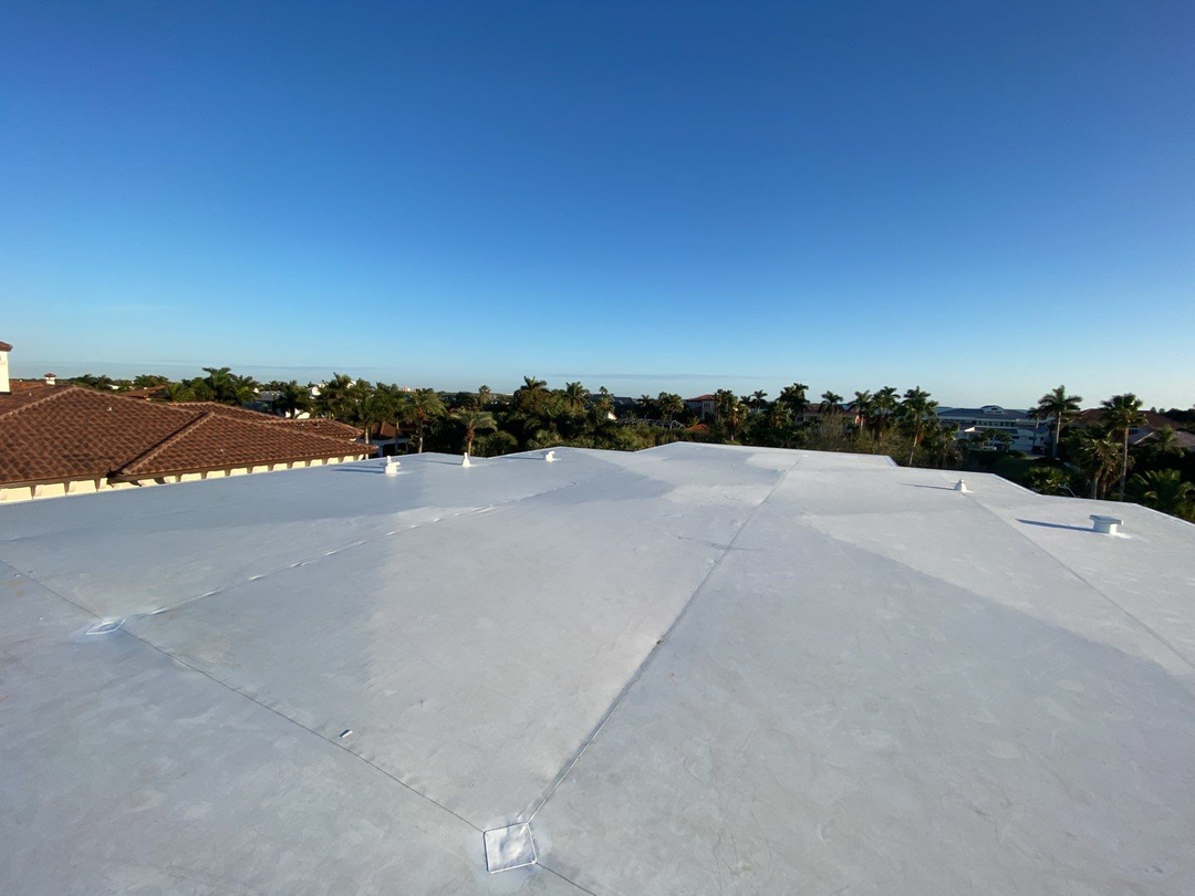 Tampa Pro Roofing Image