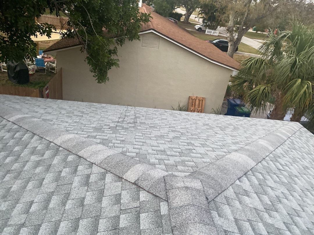 Tampa Pro Roofing Image