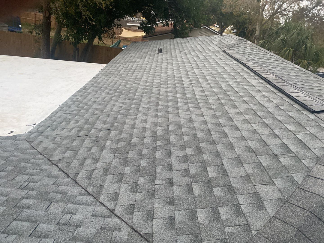 Tampa Pro Roofing Image