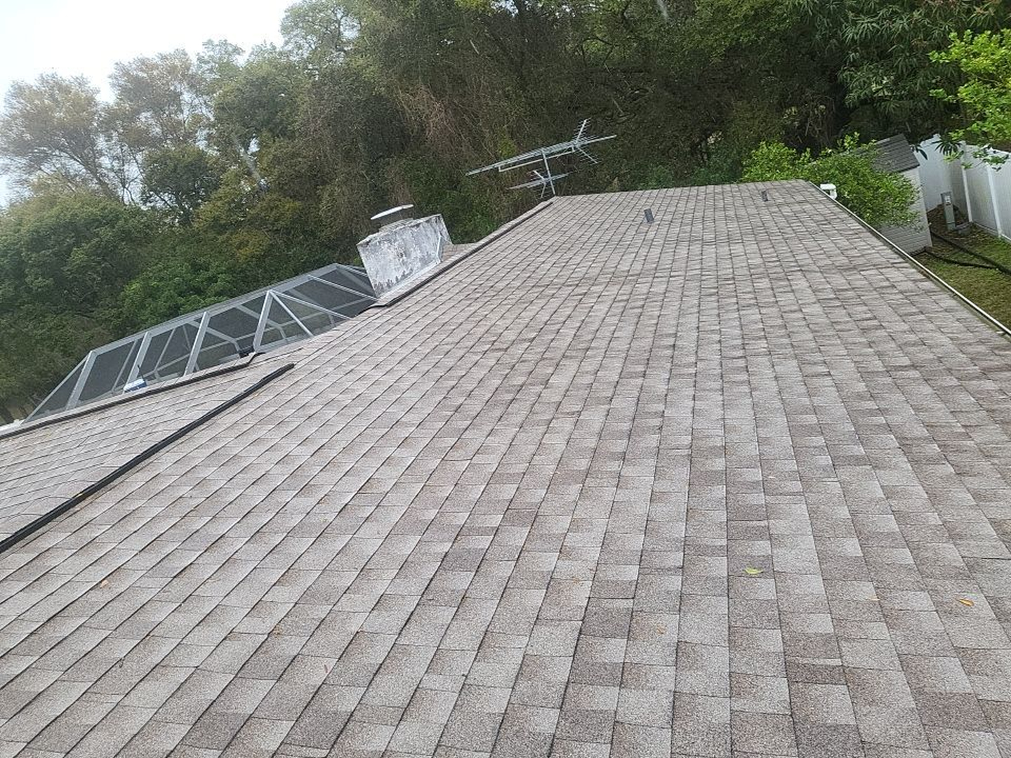 Tampa Pro Roofing Image