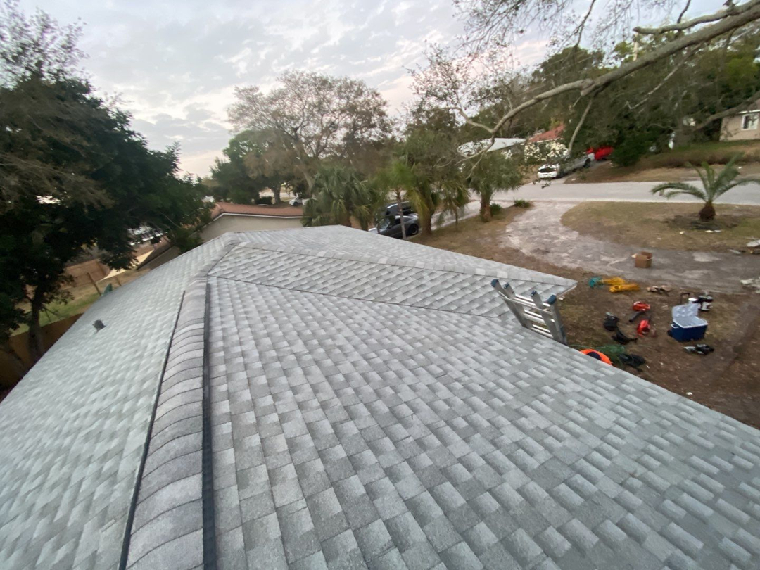 Tampa Pro Roofing Image
