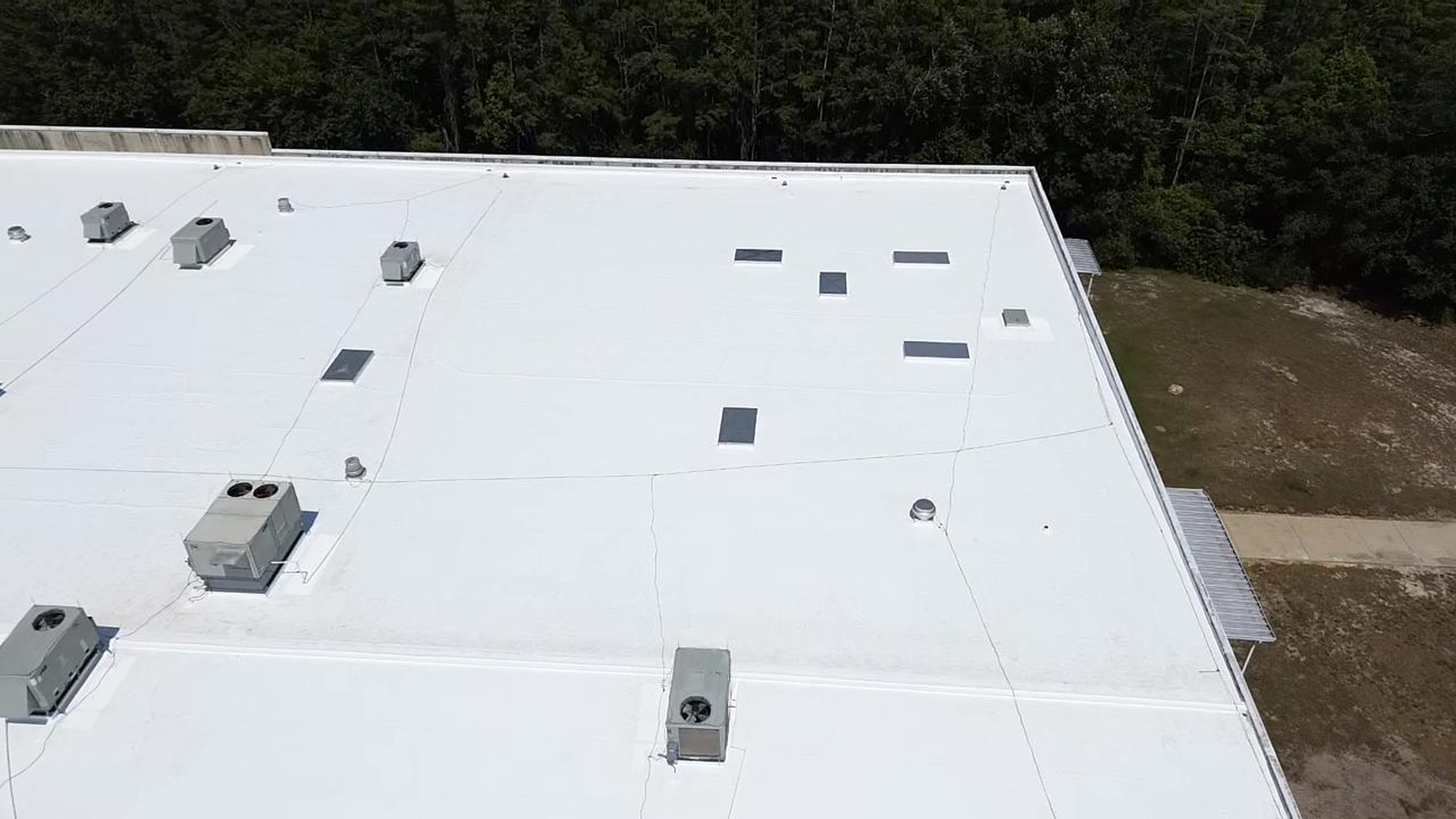 Tampa Pro Roofing Image