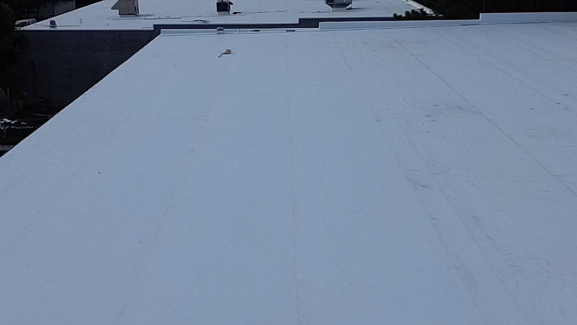 Tampa Pro Roofing Image