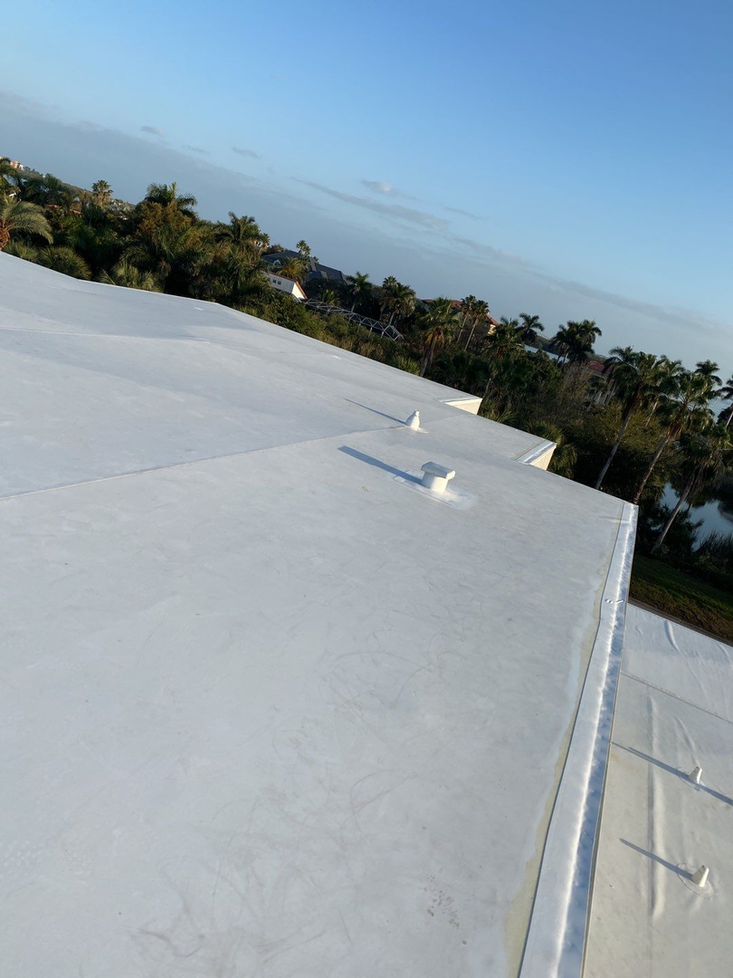 Tampa Pro Roofing Image