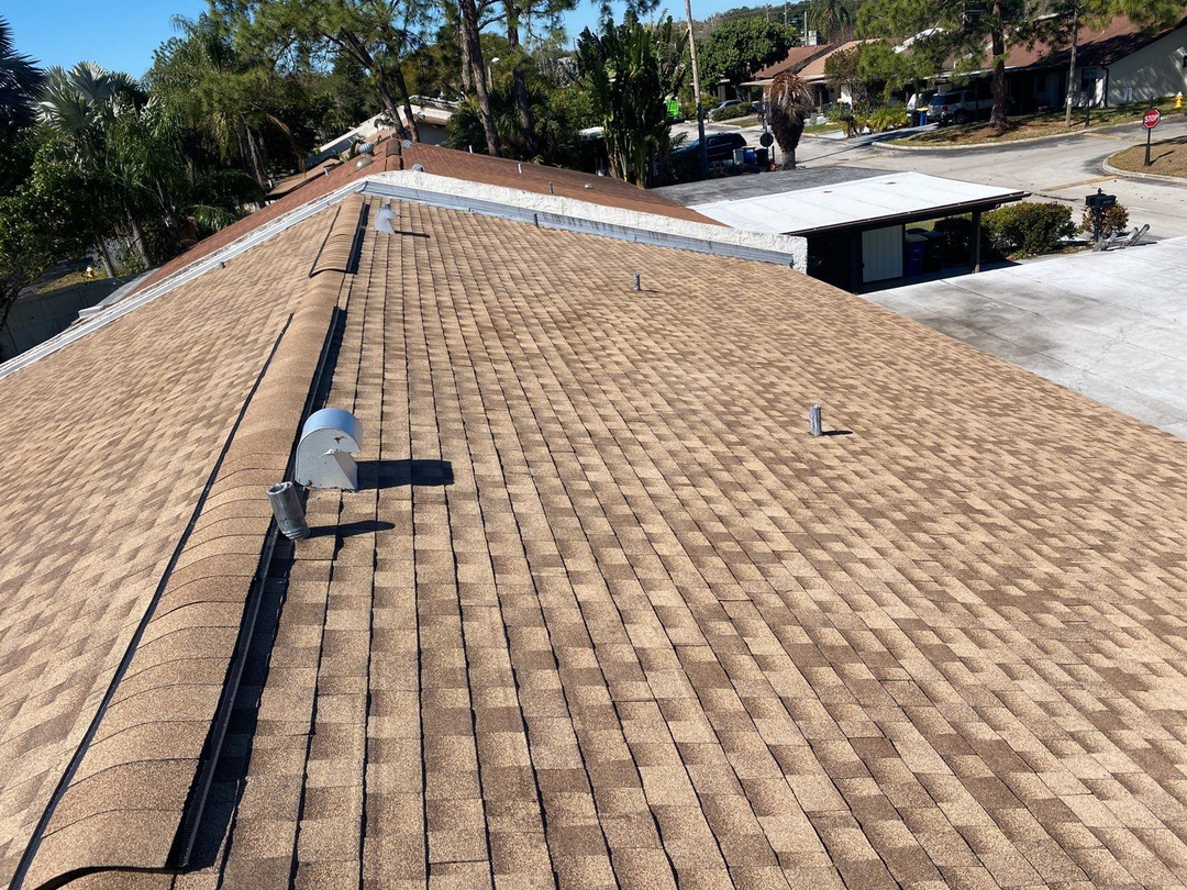 Tampa Pro Roofing Image