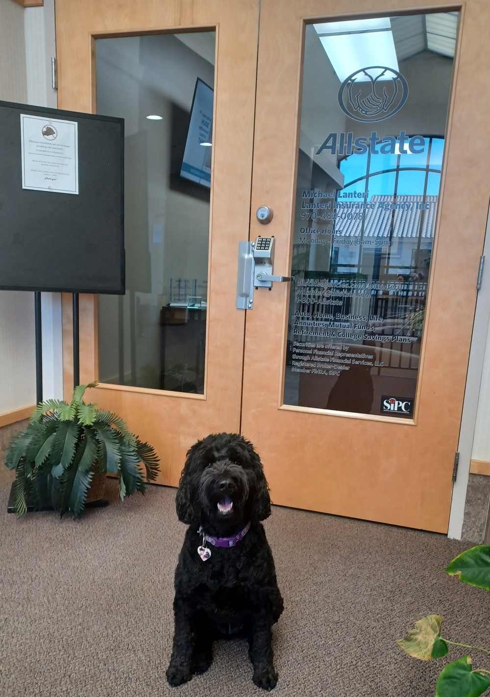 Thompson Insurance Agency: Allstate Insurance - Fort Collins, CO