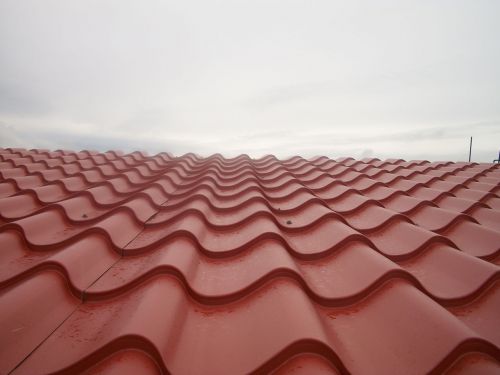 Home Grown Roofing and Contracting Image