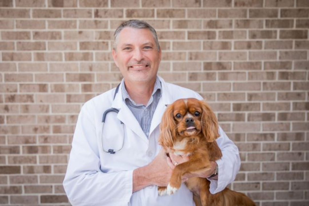 Animal Hospital of Ashwaubenon - Green Bay, WI