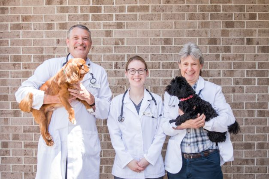 Animal Hospital of Ashwaubenon - Green Bay, WI