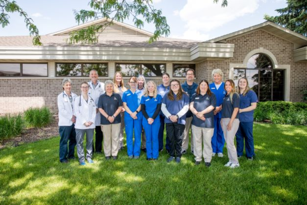 Animal Hospital of Ashwaubenon - Green Bay, WI