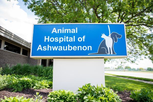 Animal Hospital of Ashwaubenon - Green Bay, WI 54304 - (920)499-0805 | ShowMeLocal.com