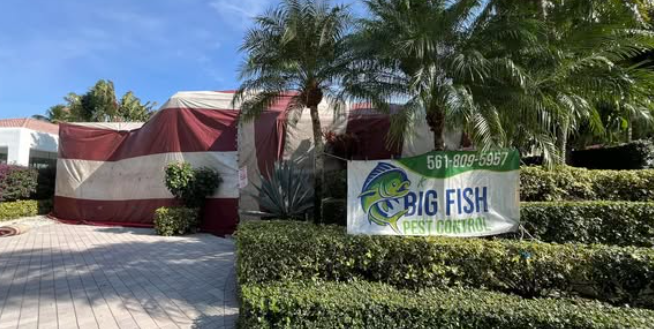 Big Fish Pest Control LLC - Boynton Beach, FL
