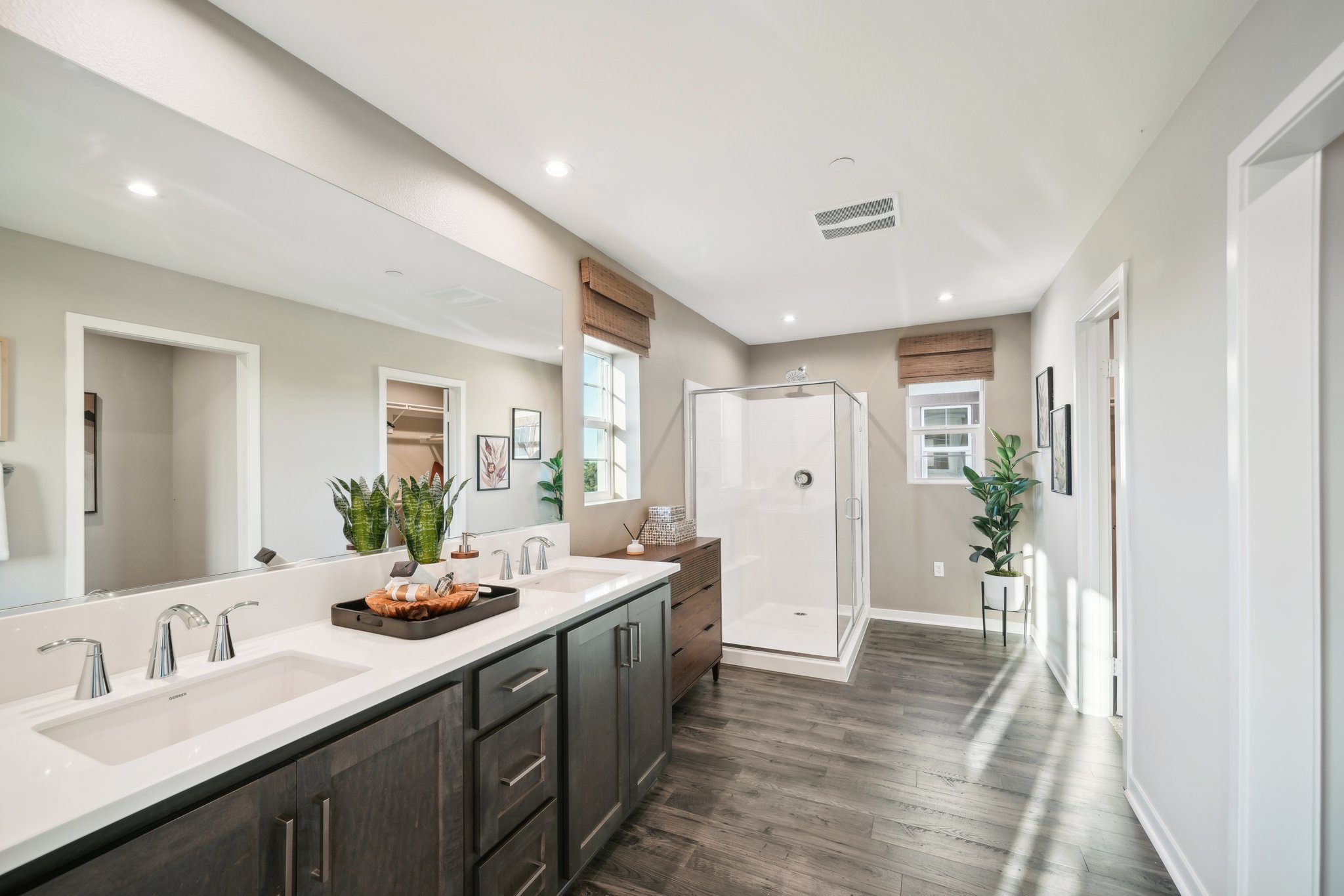 Citrus & Summit by D.R. Horton Image