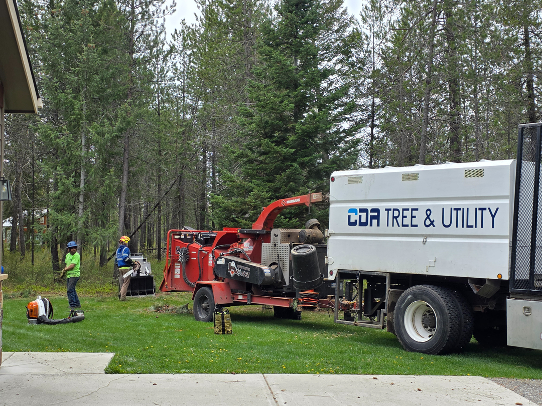 CDA Tree and Utility - Coeur d Alene, ID