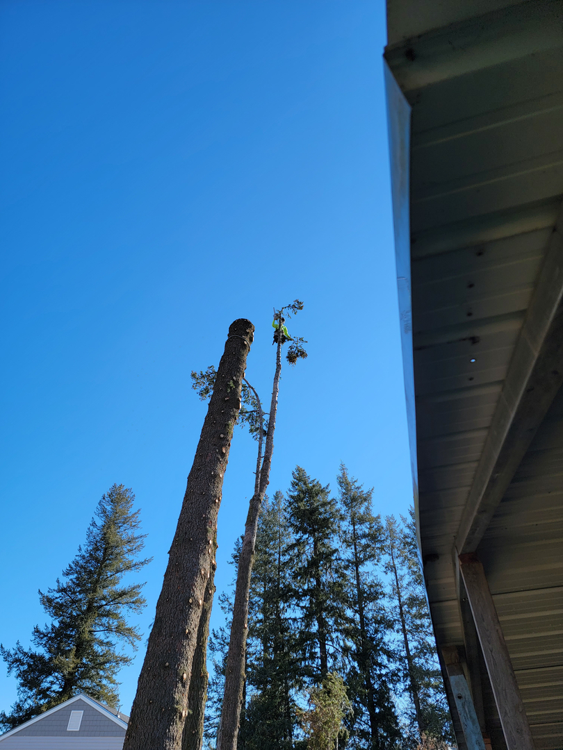 CDA Tree and Utility - Coeur d Alene, ID