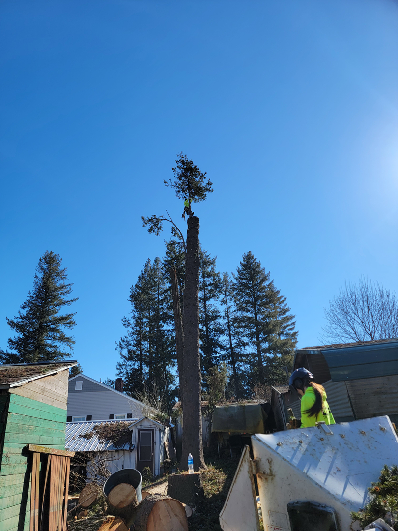 CDA Tree and Utility - Coeur d Alene, ID