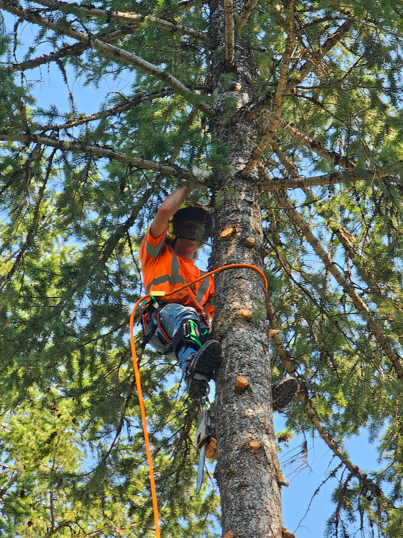 CDA Tree and Utility - Coeur d Alene, ID