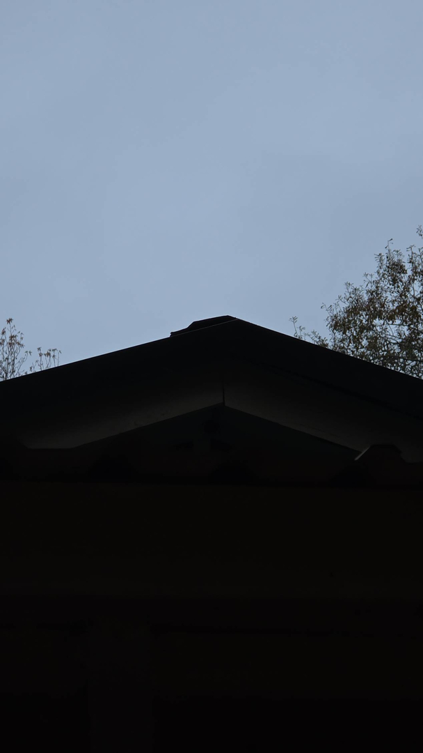 Genuin Roofing Image