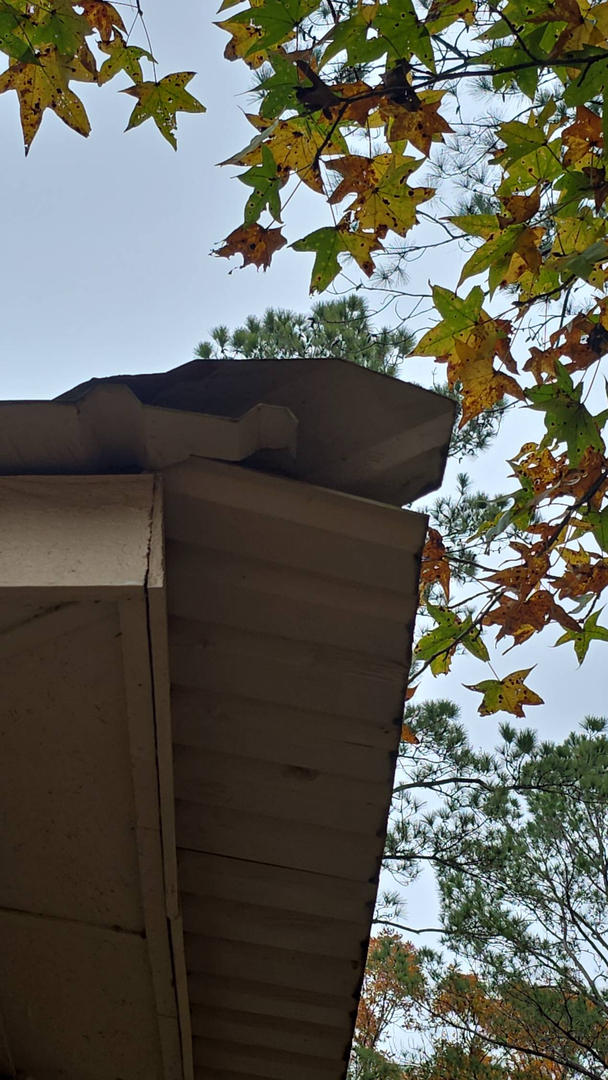 Genuin Roofing Image