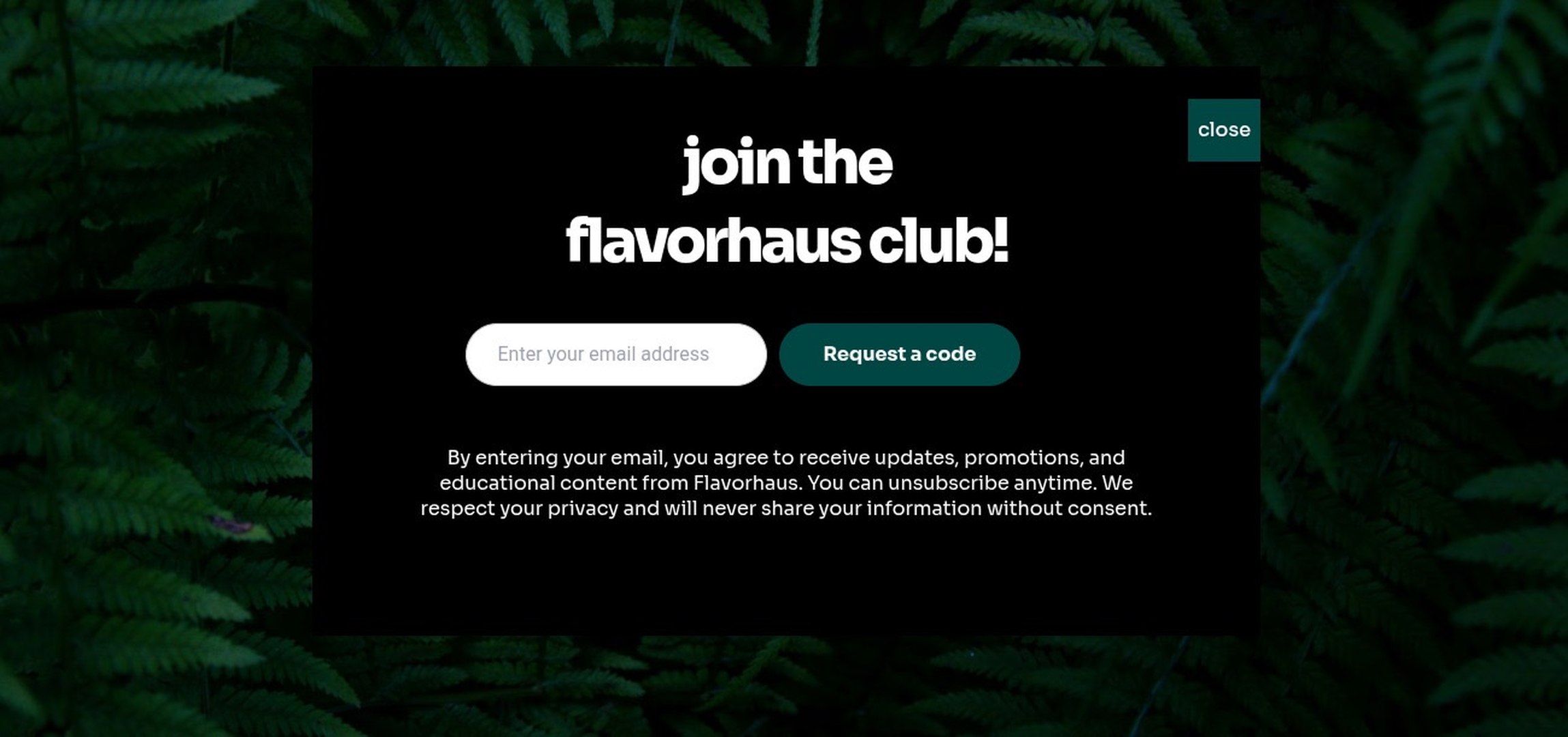 FlavorHaus Logo