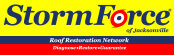 StormForce Logo