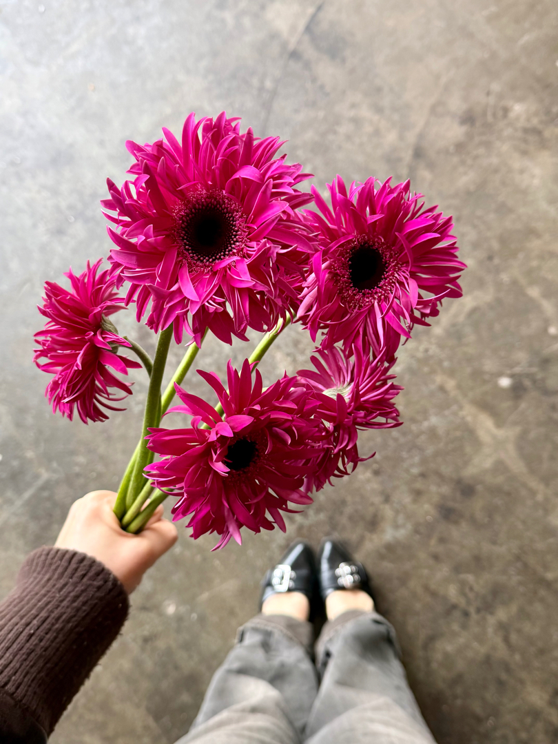 William Paul Floral Design Image