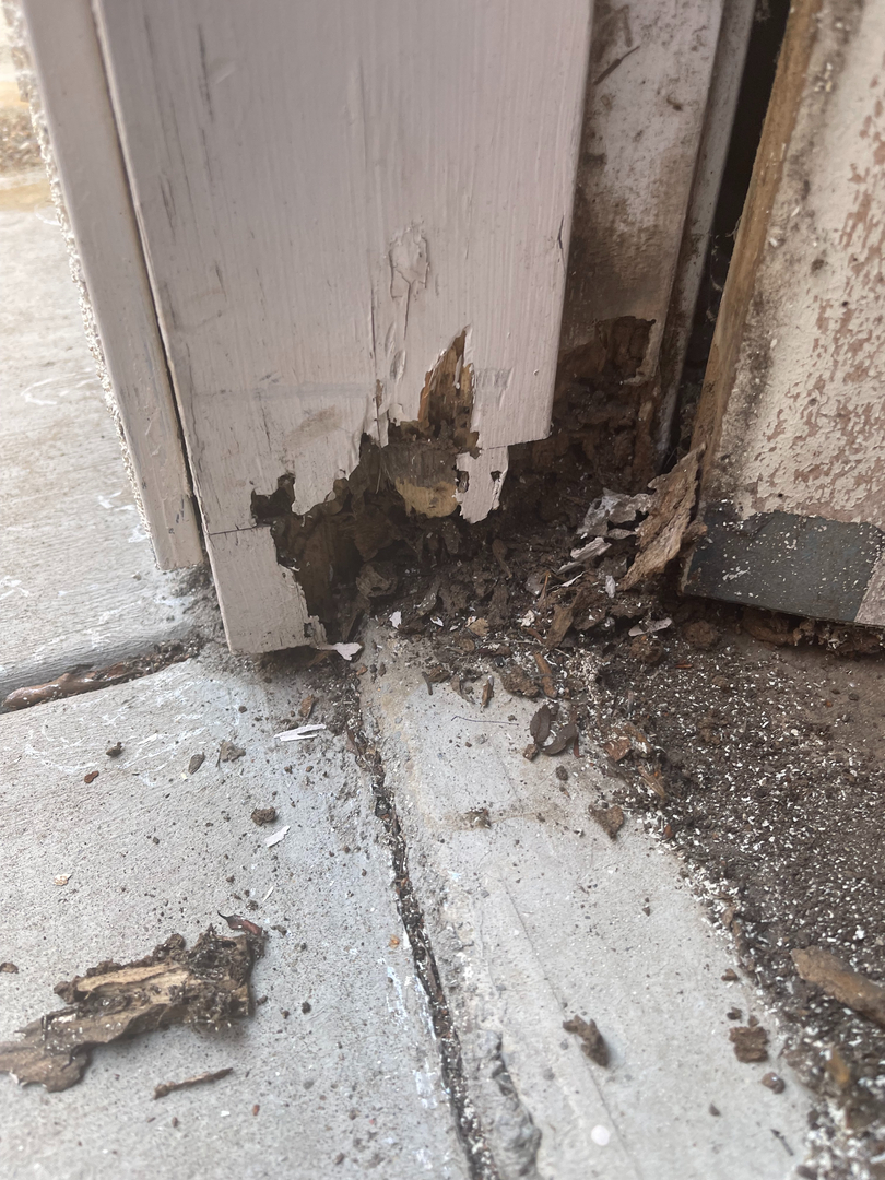 Reliable Termite Solutions - Turlock, CA