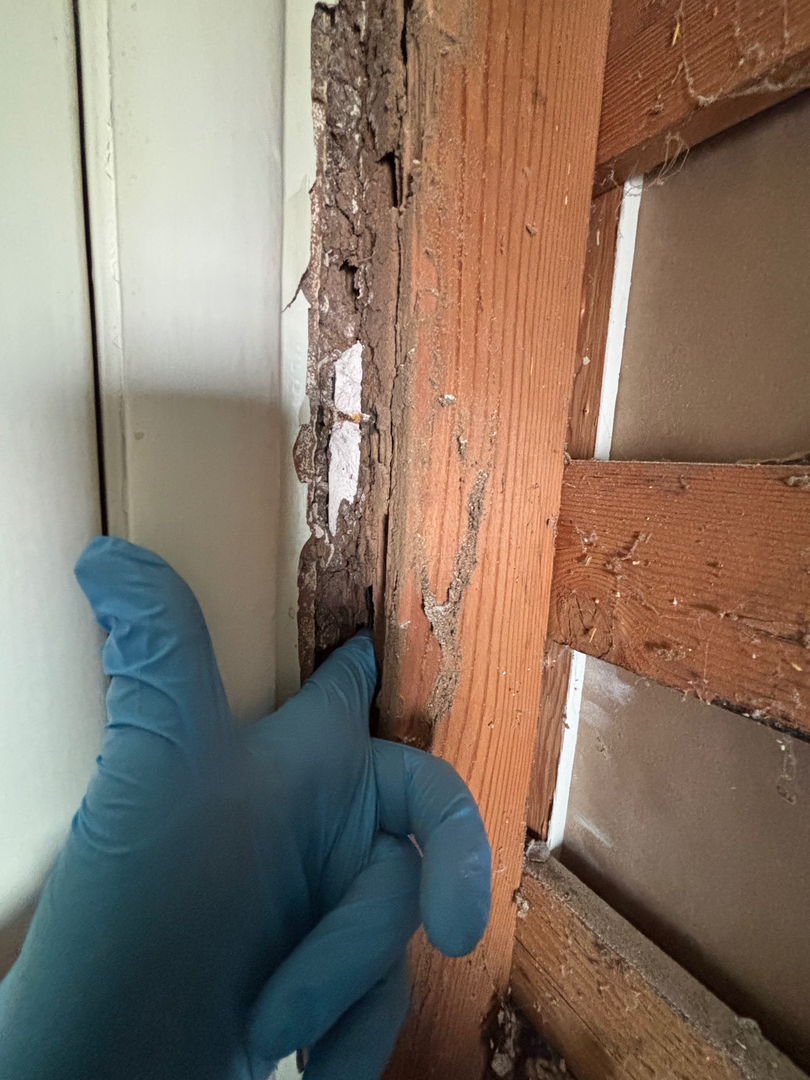 Reliable Termite Solutions - Turlock, CA