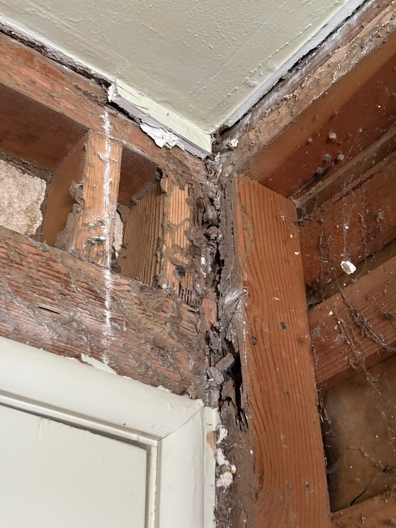 Reliable Termite Solutions - Turlock, CA