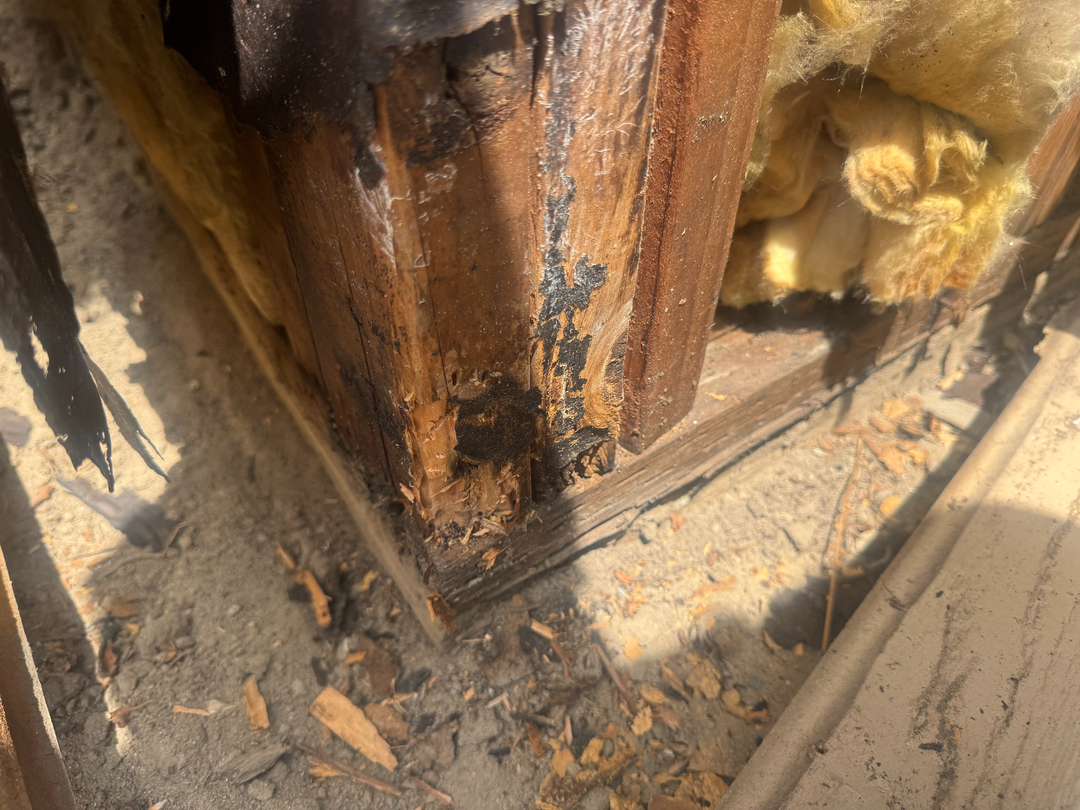 Reliable Termite Solutions - Turlock, CA
