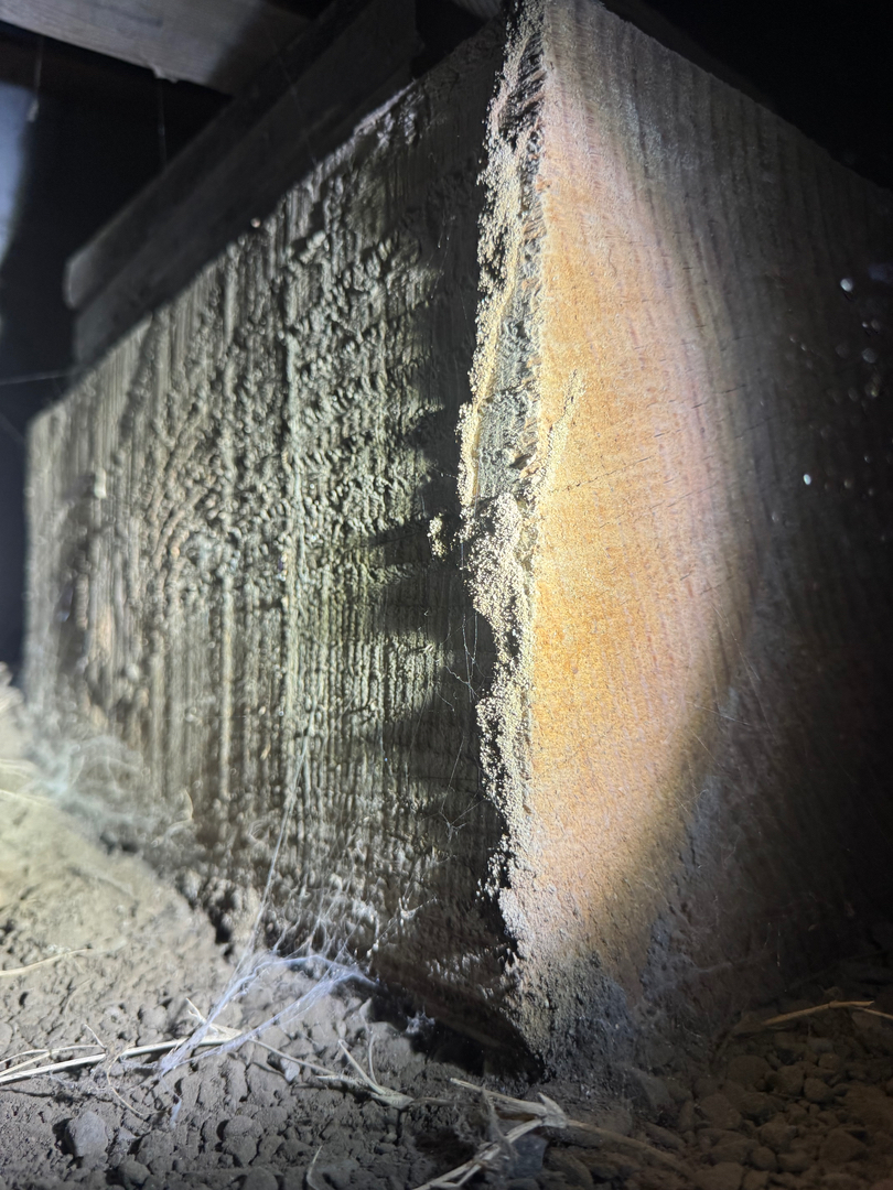 Reliable Termite Solutions - Turlock, CA