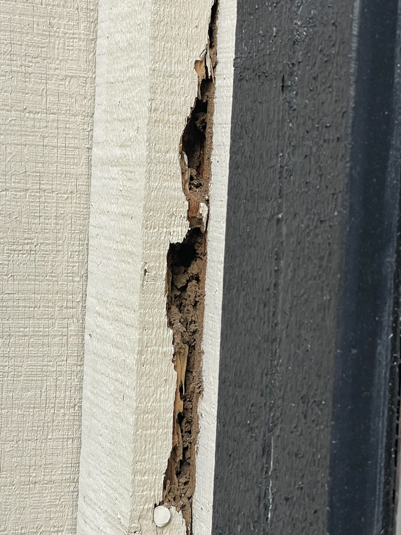 Reliable Termite Solutions - Turlock, CA