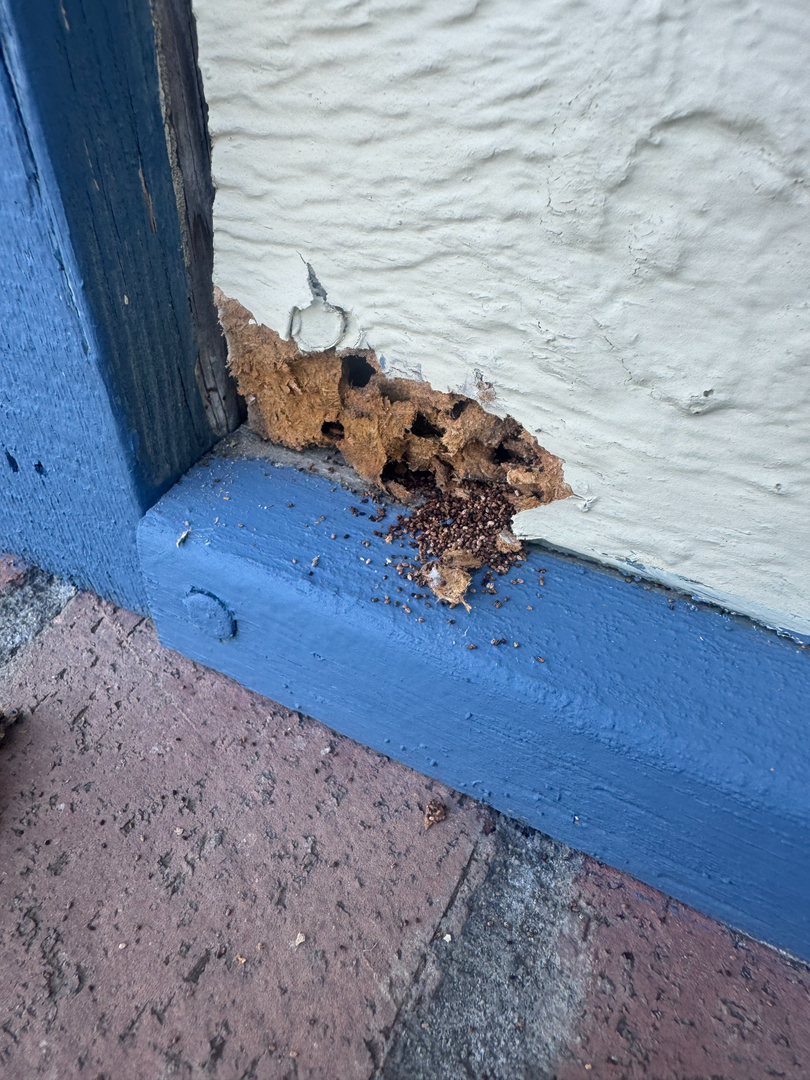 Reliable Termite Solutions - Turlock, CA