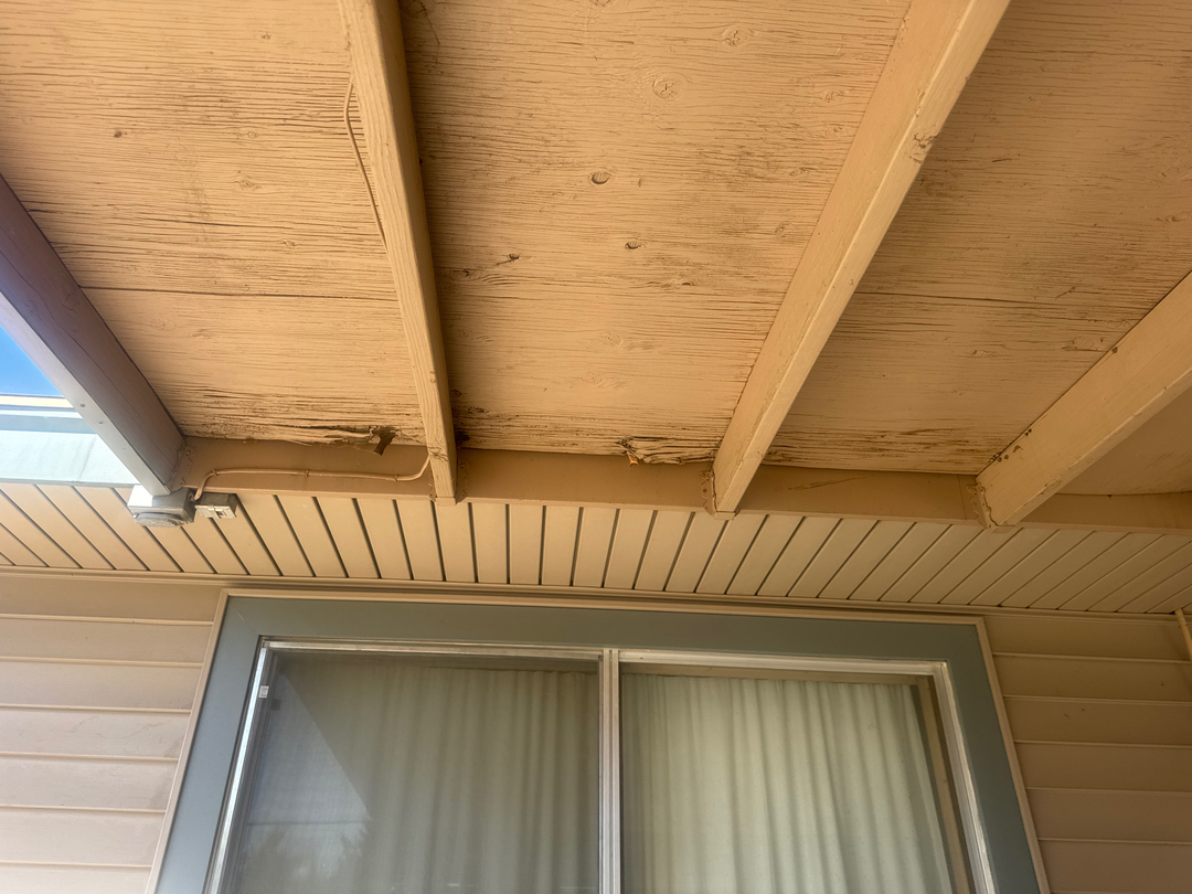 Reliable Termite Solutions - Turlock, CA