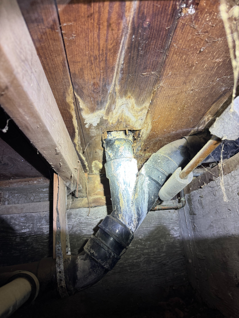 Reliable Termite Solutions - Turlock, CA