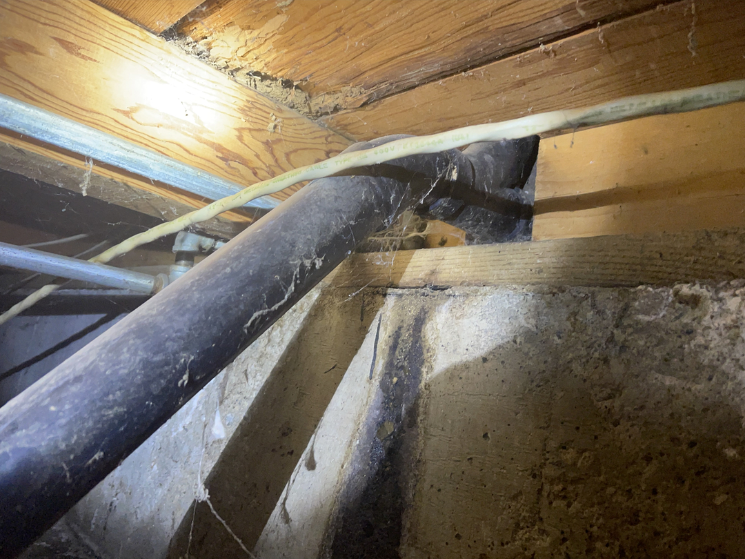 Reliable Termite Solutions - Turlock, CA