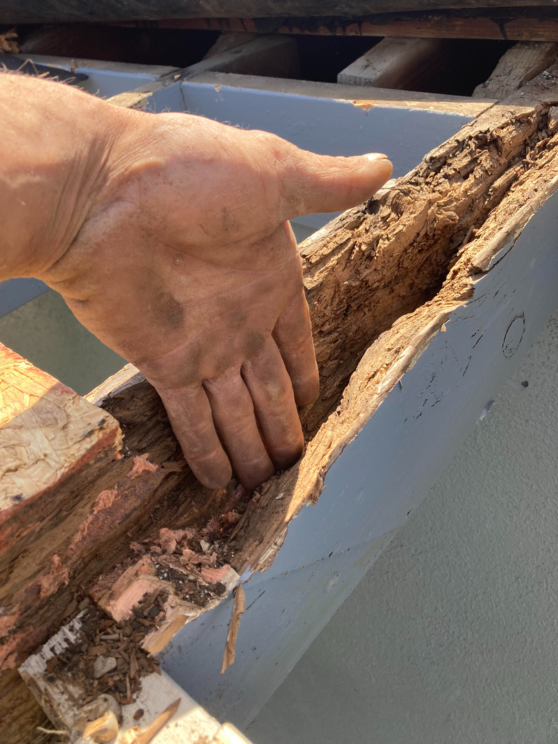 Reliable Termite Solutions - Turlock, CA