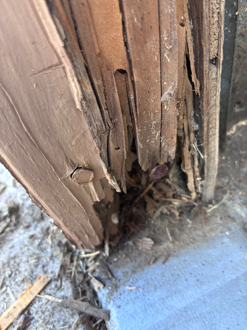 Reliable Termite Solutions - Turlock, CA