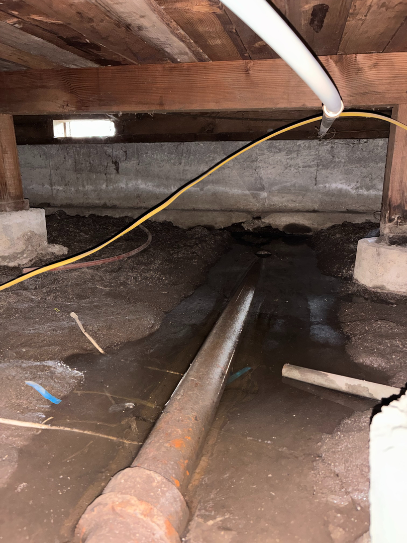 Reliable Termite Solutions - Turlock, CA