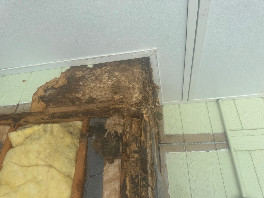Reliable Termite Solutions - Turlock, CA