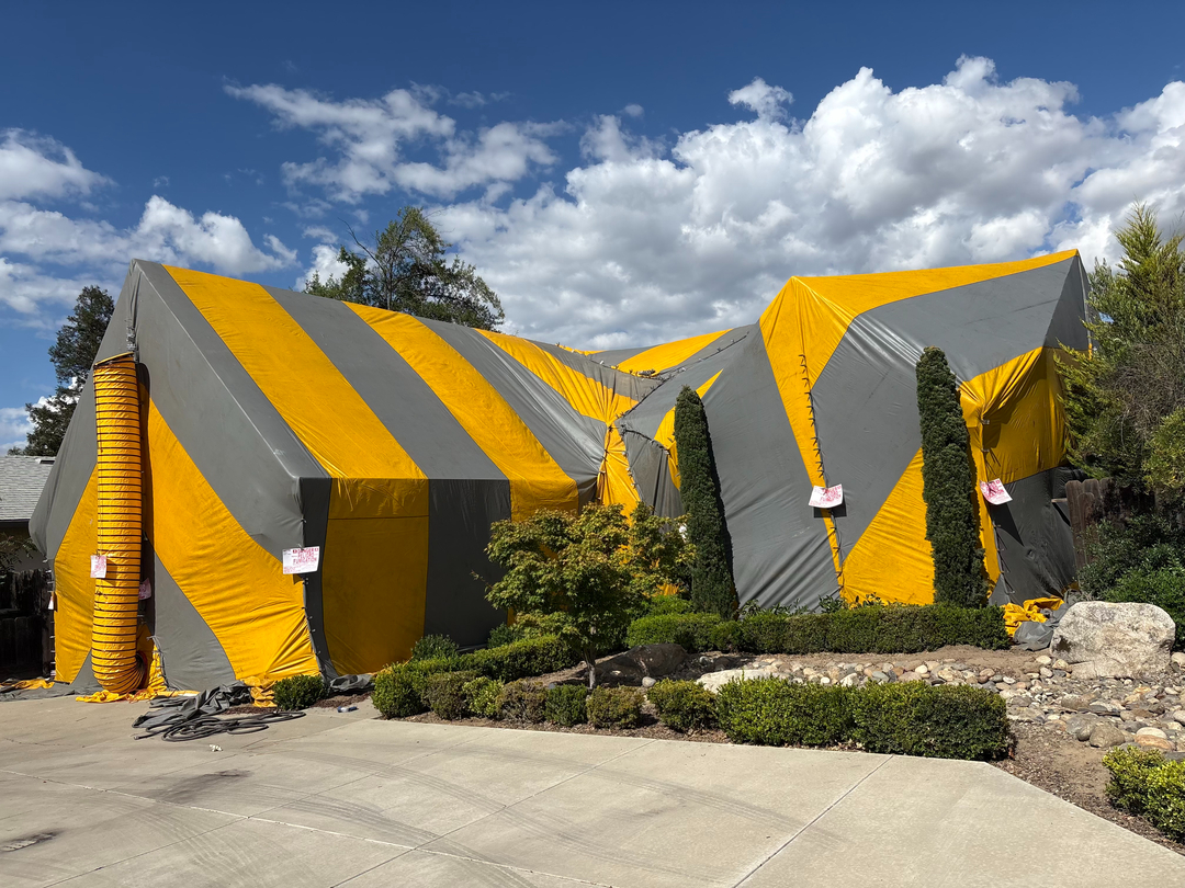 Reliable Termite Solutions - Turlock, CA