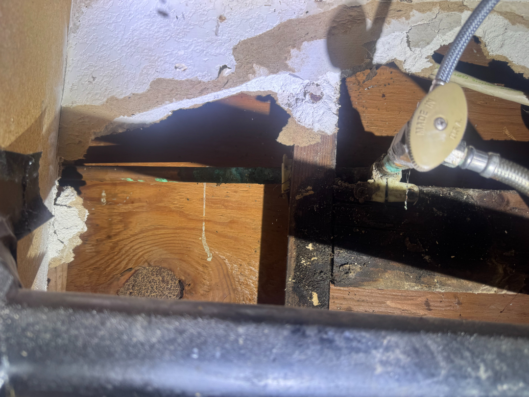 Reliable Termite Solutions - Turlock, CA