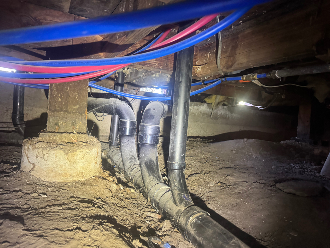 Reliable Termite Solutions - Turlock, CA