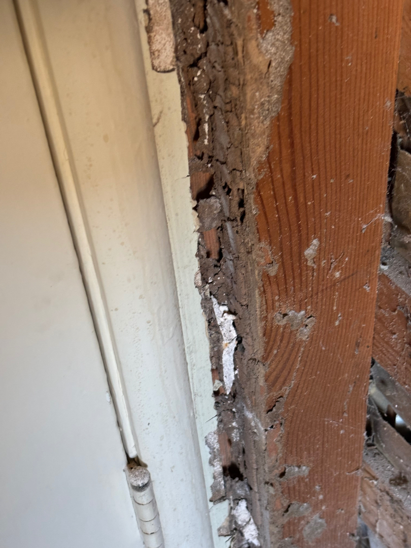 Reliable Termite Solutions - Turlock, CA