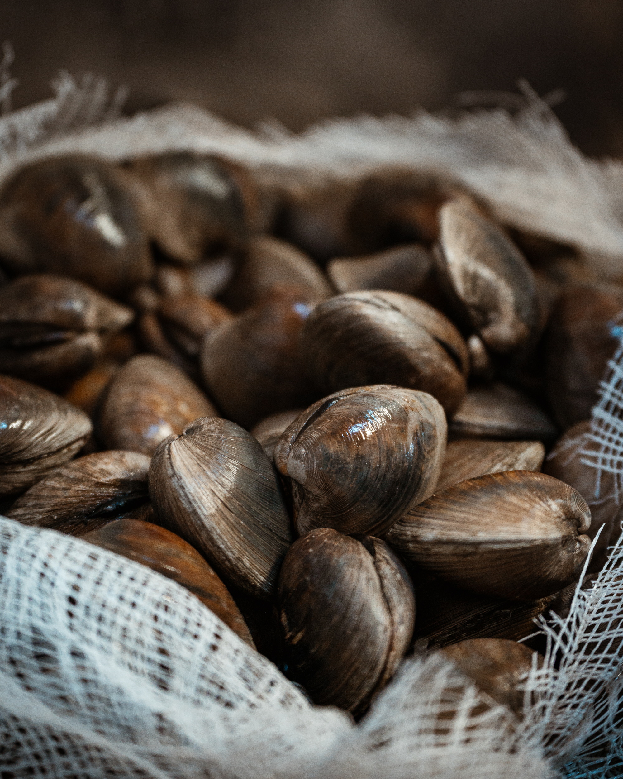 Frank Pepe Pizzeria Napoletana Image