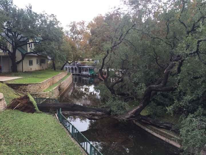 Riggs Tree Service - Kingsland, TX
