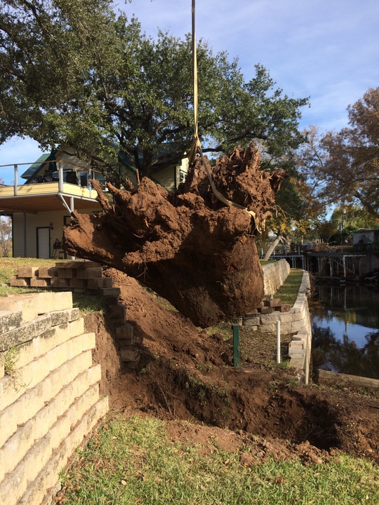 Riggs Tree Service - Kingsland, TX