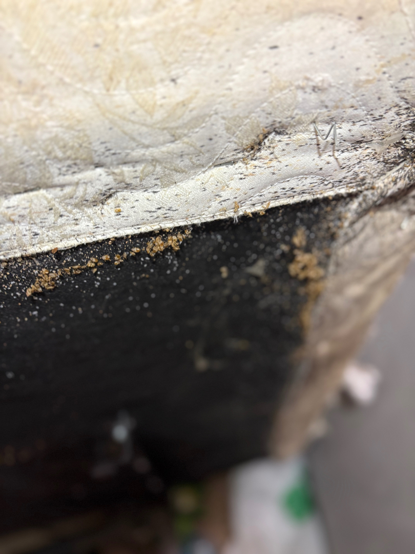 KO Pest Control - Schofield, WI